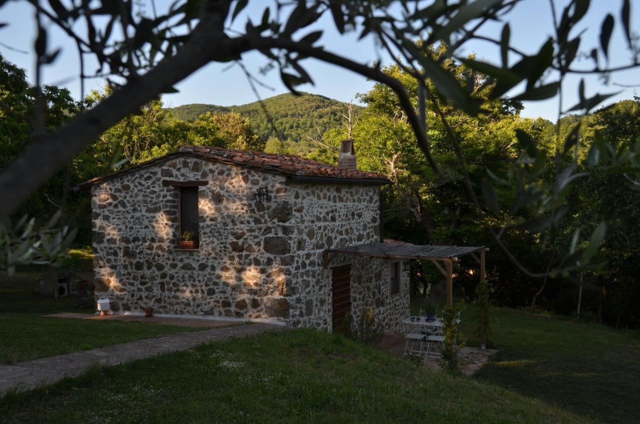 マッサ・マリッティマ Il Venaio Bed & Breakfast エクステリア 写真