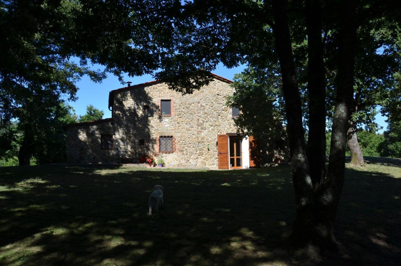 マッサ・マリッティマ Il Venaio Bed & Breakfast エクステリア 写真