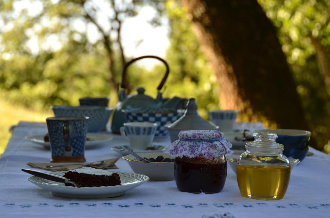 マッサ・マリッティマ Il Venaio Bed & Breakfast エクステリア 写真