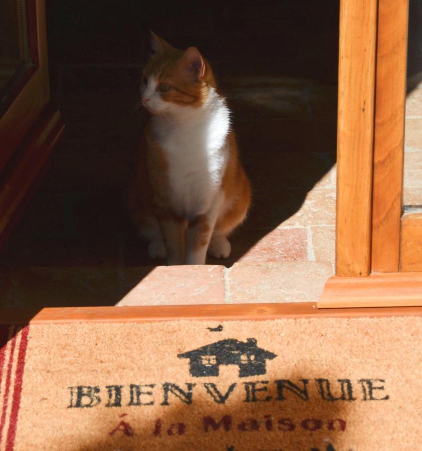 マッサ・マリッティマ Il Venaio Bed & Breakfast エクステリア 写真