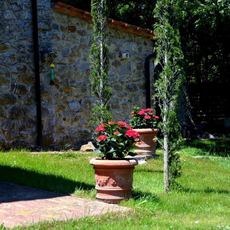 マッサ・マリッティマ Il Venaio Bed & Breakfast エクステリア 写真