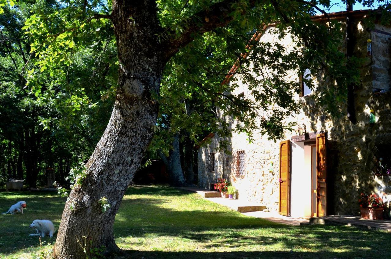マッサ・マリッティマ Il Venaio Bed & Breakfast エクステリア 写真